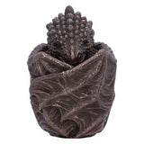 Nemesis Dragon Snuggle Box