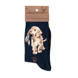 Wrendale Designs Dog Sock Hopeful - NAVY