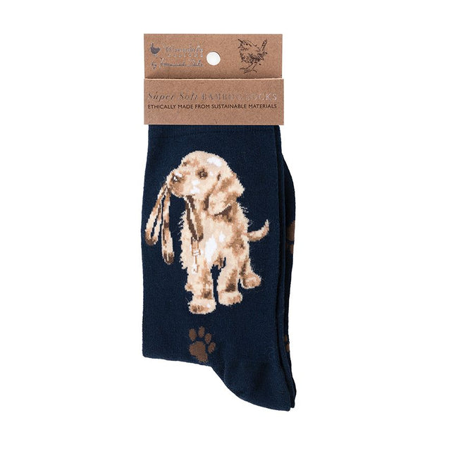 Wrendale Designs Dog Sock Hopeful - NAVY