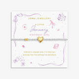 Joma Jewellery January Birth Month bracelet presented in gift packaging