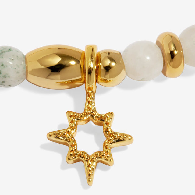 Joma Jewellery Luck bracelet charm close up gold plated detail
