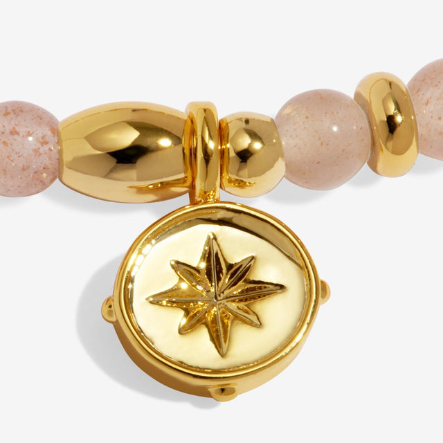 Joma Jewellery Protection bracelet charm close up gold plated detail