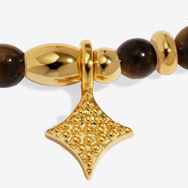 Joma Jewellery Strength bracelet charm close up gold plated detail