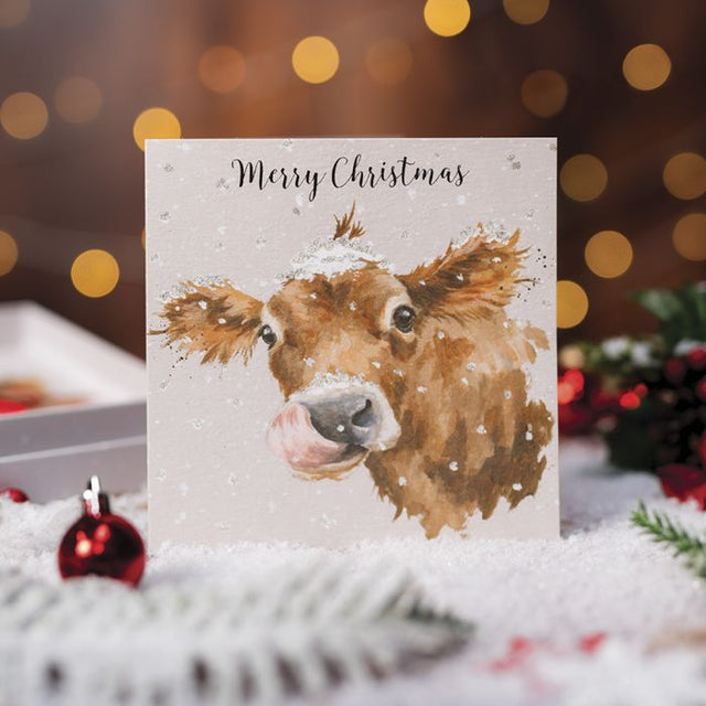 Wrendale Designs First Taste Of Snow (Cow) Luxury Boxed Cards