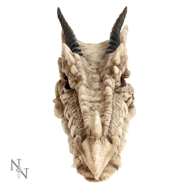 Nemesis Draco Skull Incense Holder