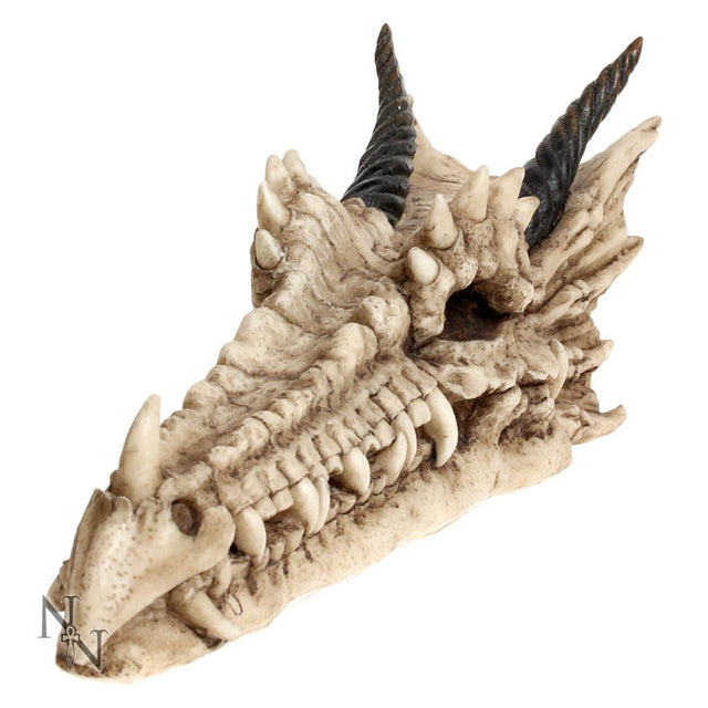 Nemesis Draco Skull Incense Holder