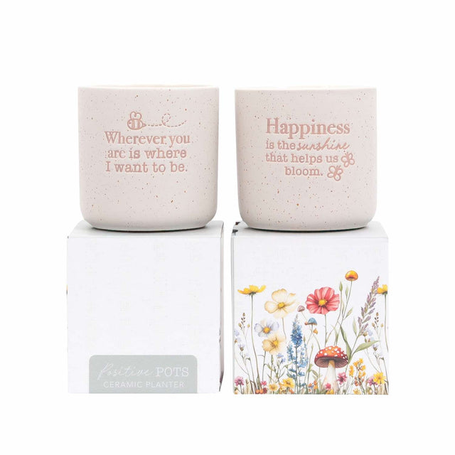 Splosh wherever positive pot pastel ceramic planter