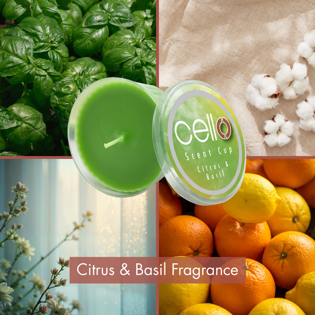Premium Citrus and Basil home fragrance candle with clean refreshing scent