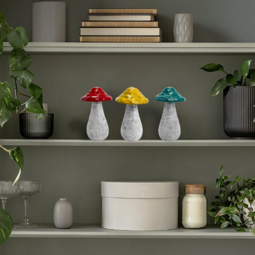 Cello Home - Mushrooms - Medium