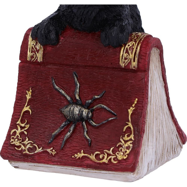Nemesis Hocus 12.7cm