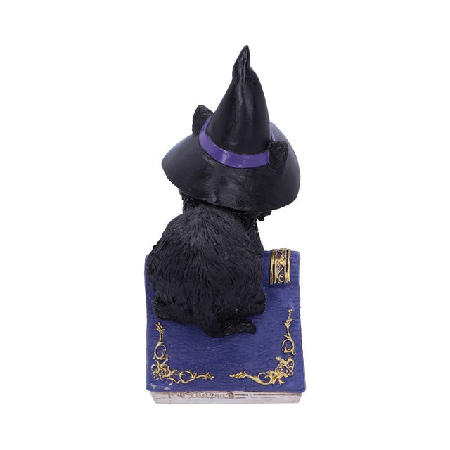 Nemesis Pocus 12.7cm