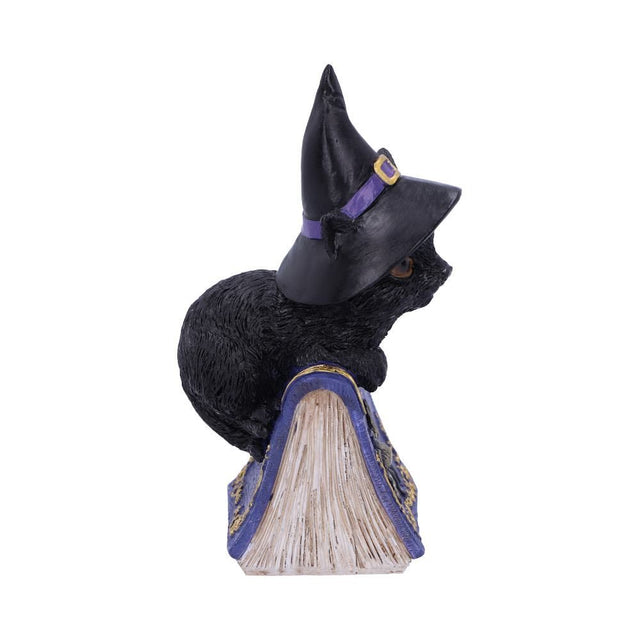 Nemesis Pocus 12.7cm