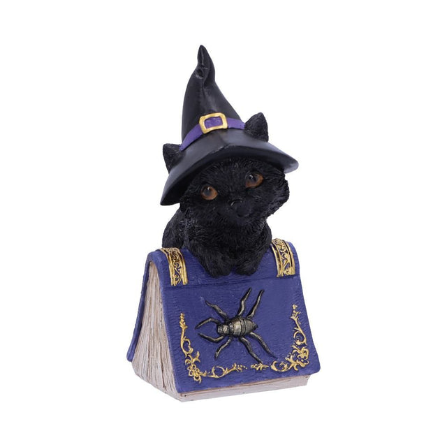 Nemesis Pocus 12.7cm