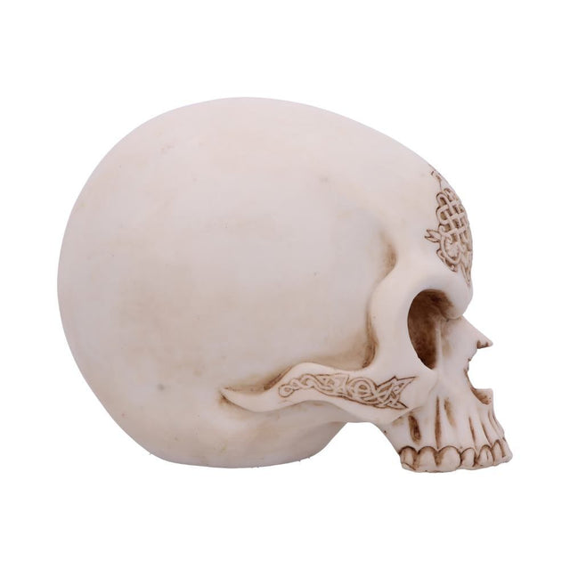 Nemesis Celtic Cave 15cm