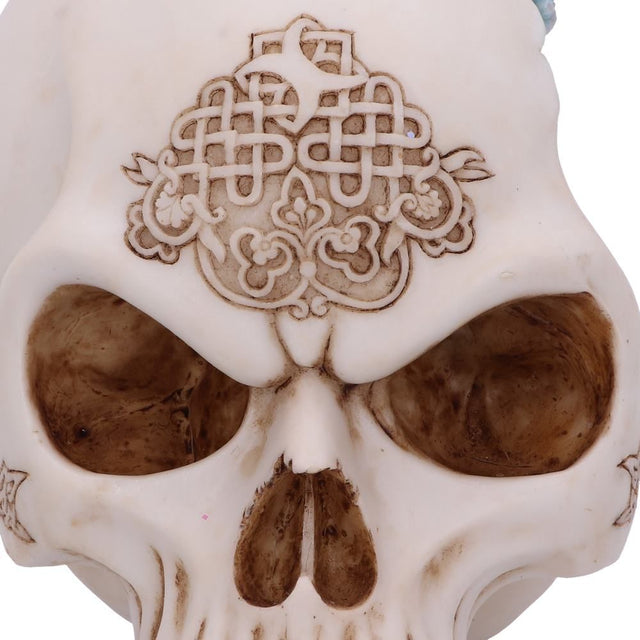 Nemesis Celtic Cave 15cm