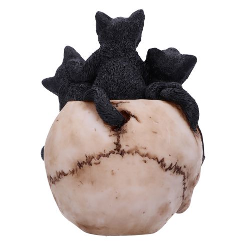 Nemesis Cranial Litter Statue