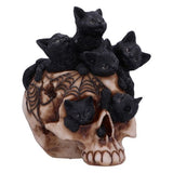 Nemesis Cranial Litter Statue