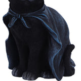 Nemesis Bewitching 18.5cm