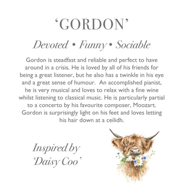 Wrendale Designs Gordon Highland Cow plush with character story gift tag