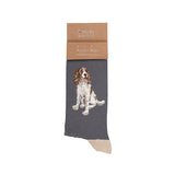 Wrendale Designs Spaniel Men's Sock - Willow