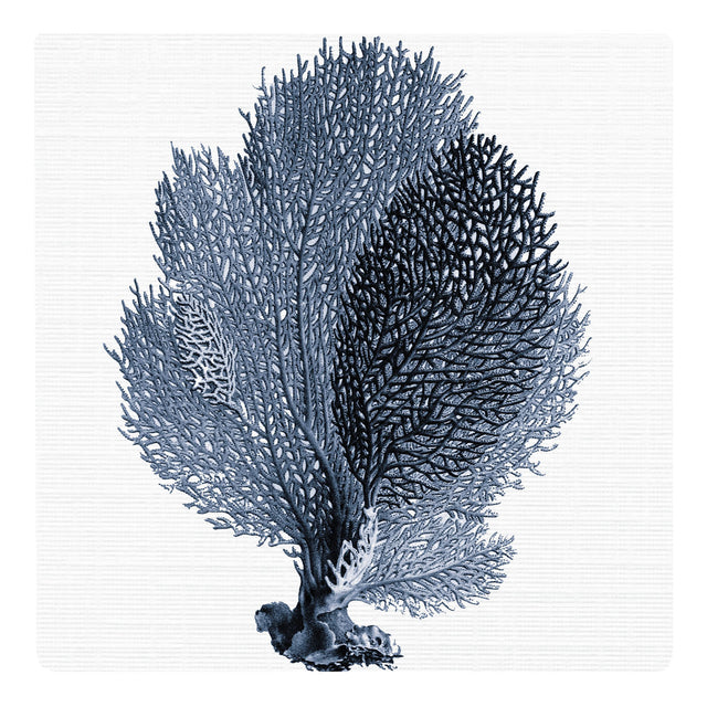 Splosh Hamptons Ceramic Coaster - Two Tone Blue Coral
