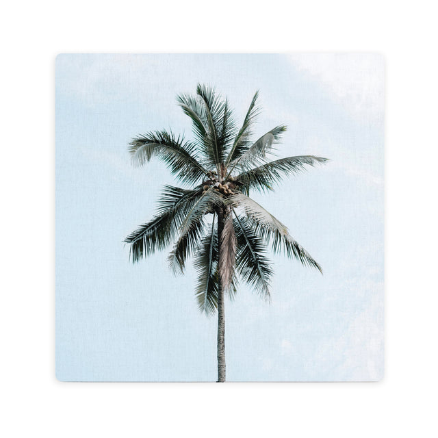 Splosh Tranquil Ceramic Coaster - Palm