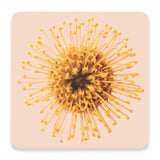 Splosh Flourish Ceramic Coaster - Yellow Floral