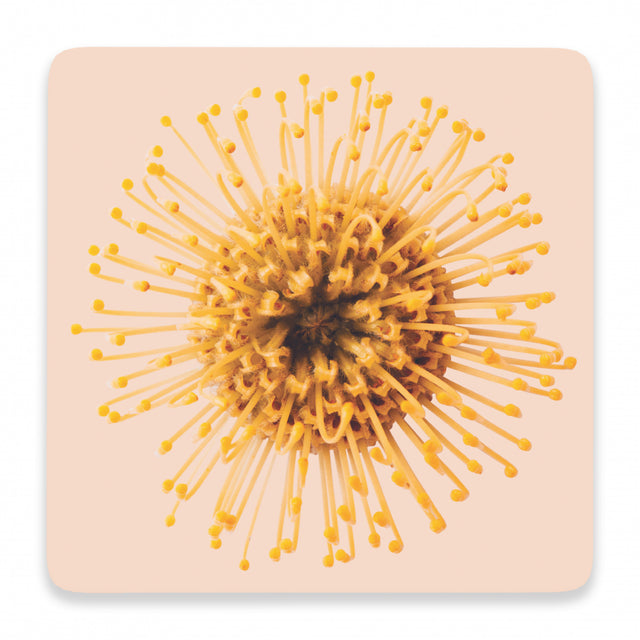 Splosh Flourish Ceramic Coaster - Yellow Floral