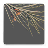Splosh Flourish Ceramic Coaster - Spikey Leaf