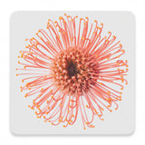Splosh Flourish Ceramic Coaster - Red Flourish